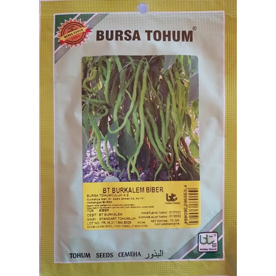 BT Burkalem Biber Tohumu
