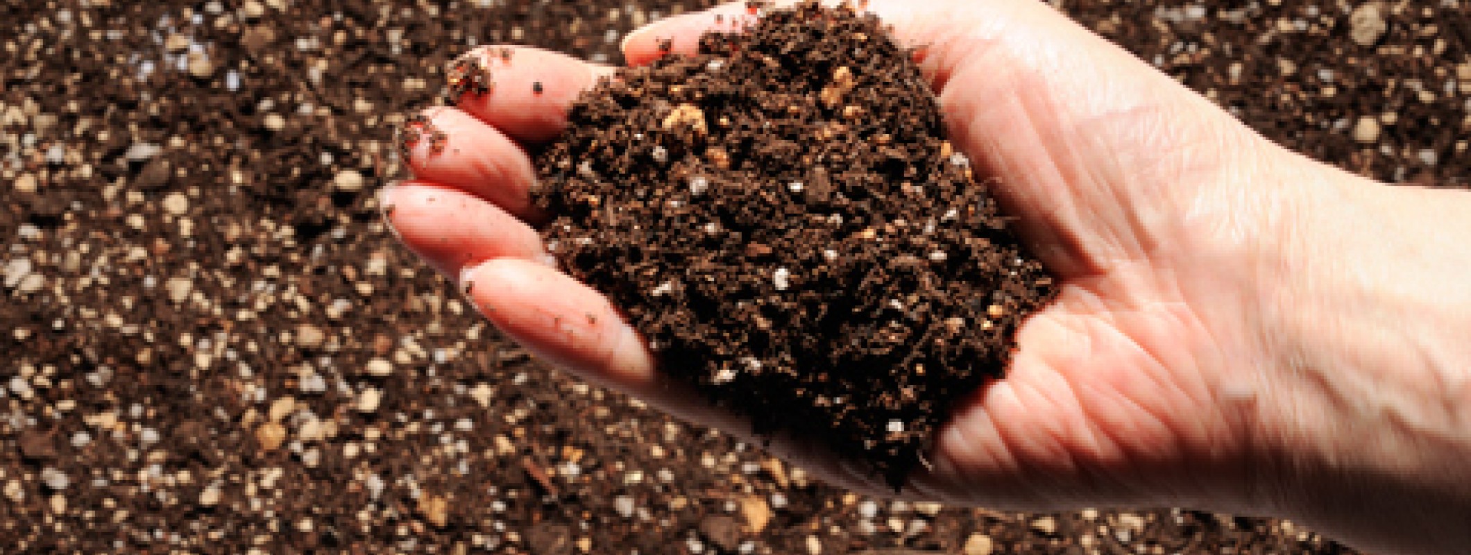 Неприятный почва. Удобрение органическое. Удобрение почвы. Органические удобрения для почвы. Органика в почве.
