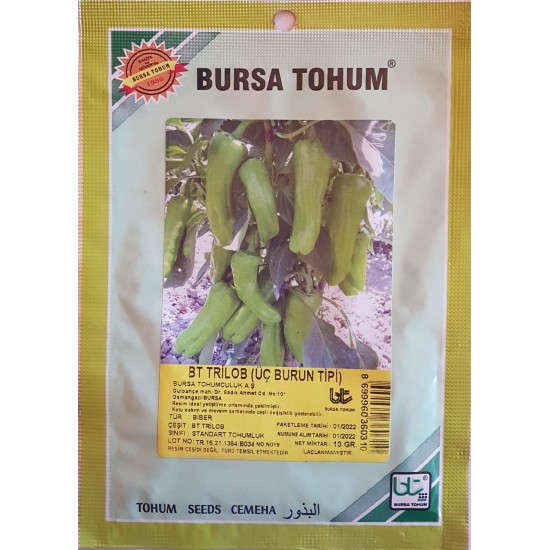 BT Trilop Ücburun Standart Biber Tohumu