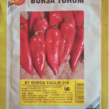 BT Bursa Yaglık 016 Standart Biber Tohumu