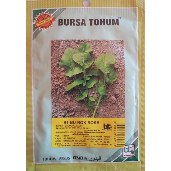 BT Bu_Rok Standart Roka Tohumu
