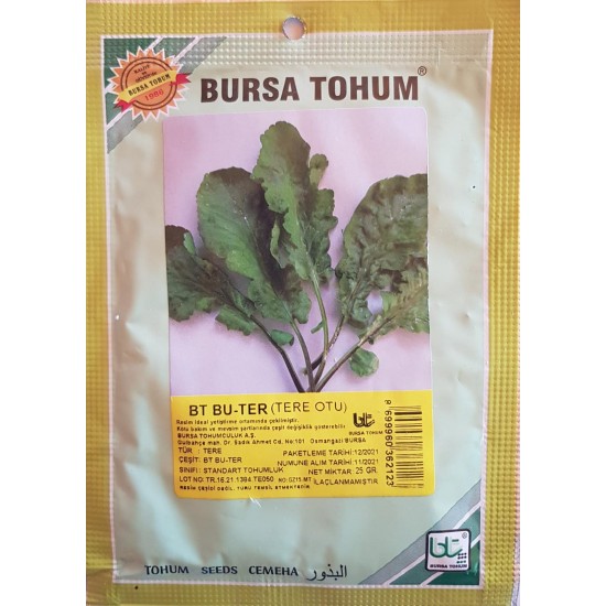 BT Bu_Ter Standart Tere Tohumu