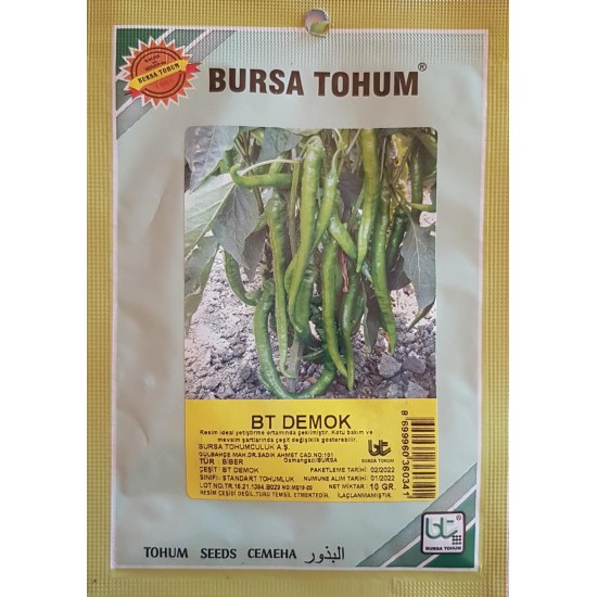BT Demok Biber Tohumu