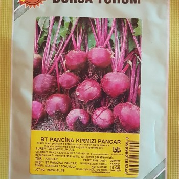 BT Pancina Kırmızı Pancar Tohumu