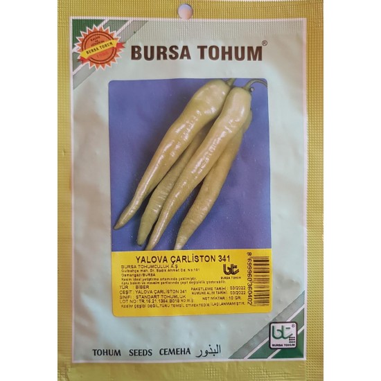 Yalova Carliston Biber Tohumu