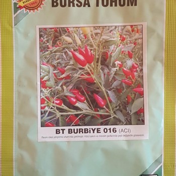 BT Burbiye 016 Biber Tohumu