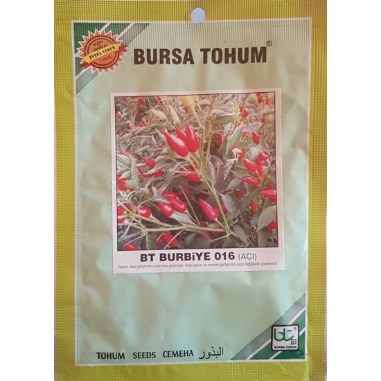 BT Burbiye 016 Biber Tohumu
