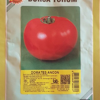 Domates Ancon