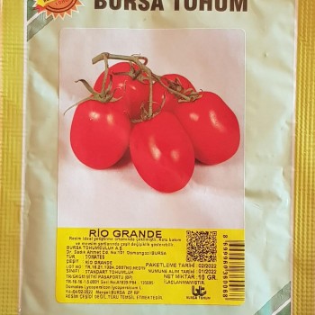 Rio Grande Domates Tohumu