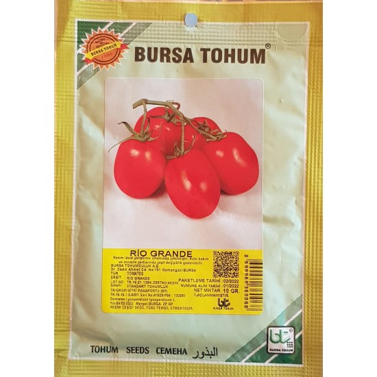 Rio Grande Domates Tohumu