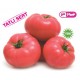 Dopink F1 Pembe Domates Fidesi