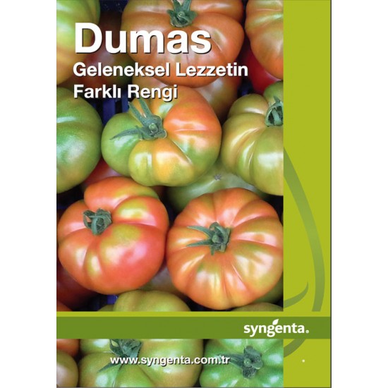 Dumas F1 Köy Domates Fidesi