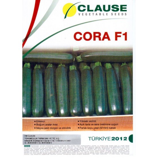 Cora F1 Kabak Fidesi