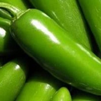 A-Z 26 F1 Jalapeno F1 Biber Fidesi
