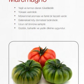 Maremagno F1 Domates Fidesi
