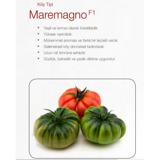 Maremagno F1 Domates Fidesi
