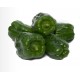 Gazi F1 Dolma Biber Fidesi