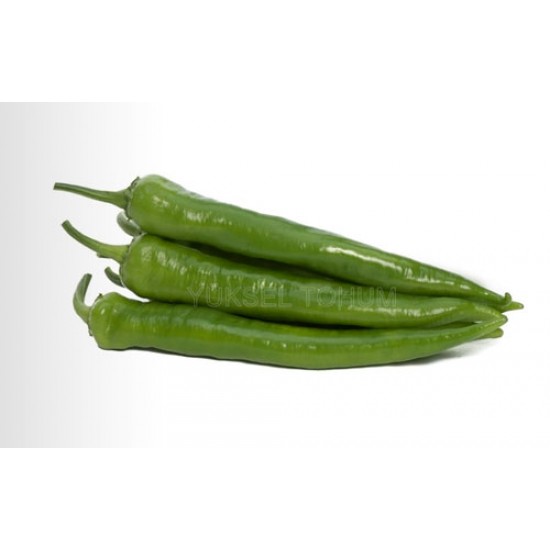 Mertcan F1 Biber Fidesi