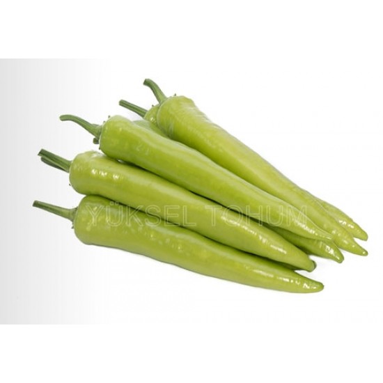 Safkan F1 Biber Fidesi