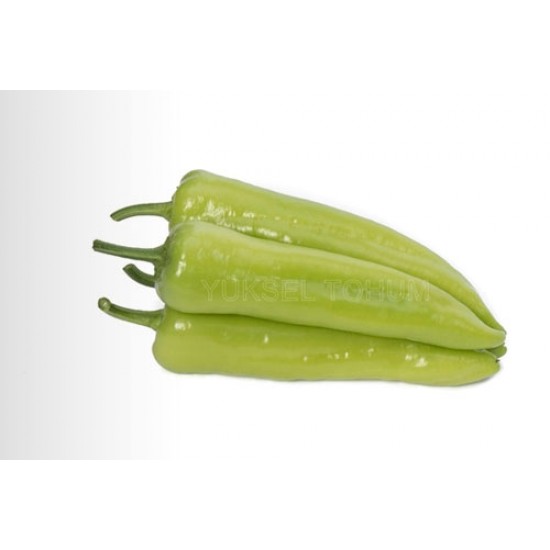 Safran F1 Biber Fidesi