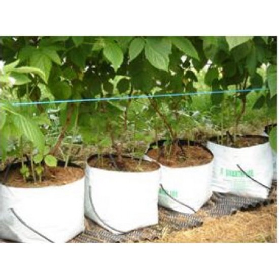 Hindistan Cevizi Kabuğu (Cocopeat) Poşet
