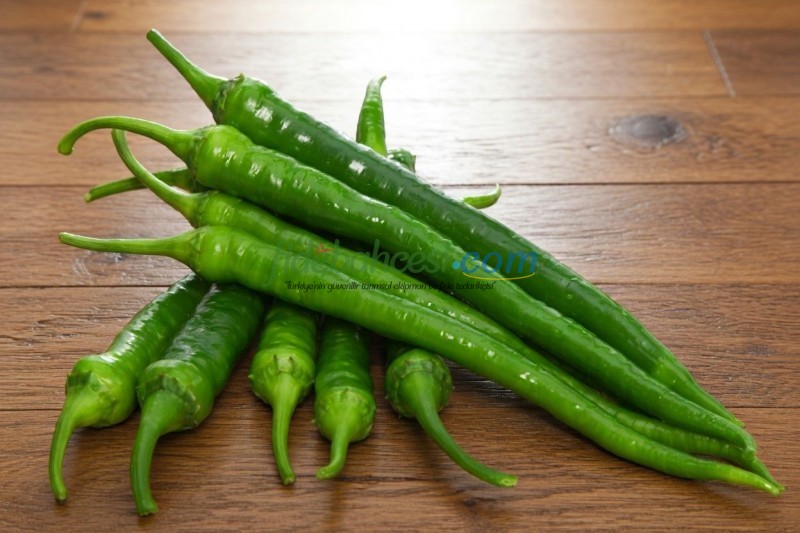 Akra F1 Sivri Biber Fidesi