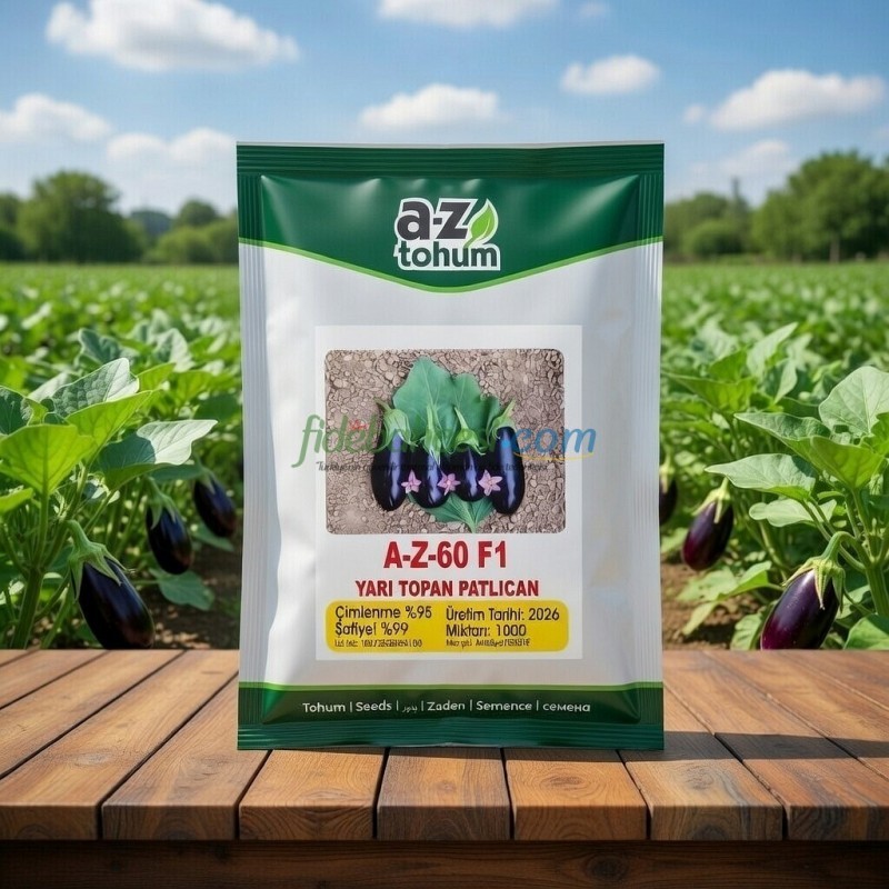 AZ 60 F1 Yarı Topan Patlıcan Tohumu
