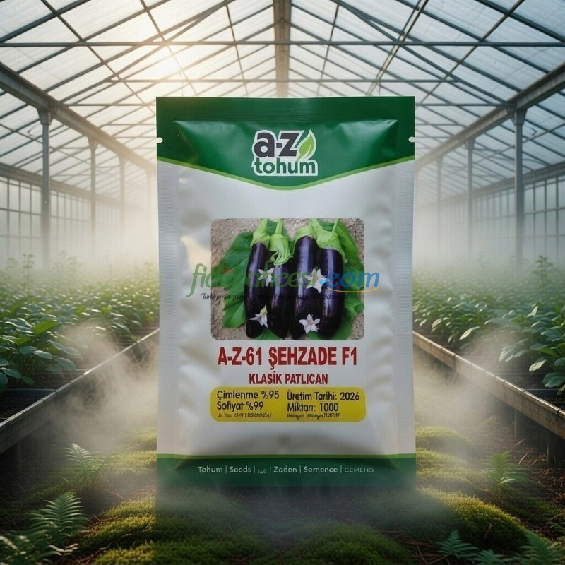 Şehzade F1 Uzun Patlıcan Tohumu - Görsel 1