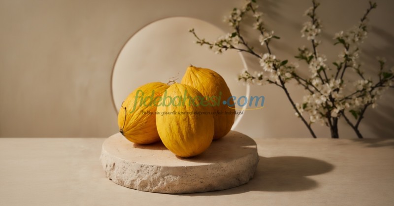 Davutbey F1 Sarı Kavun Fidesi