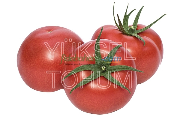 Demiröz F1 Domates Fidesi - Görsel 1