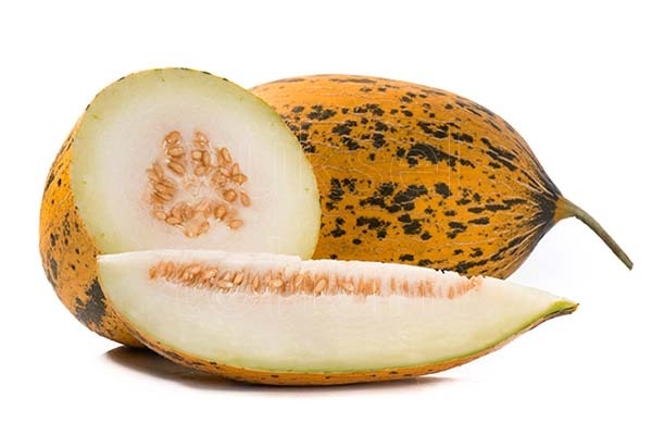 Mavi F1 Kavun Fidesi