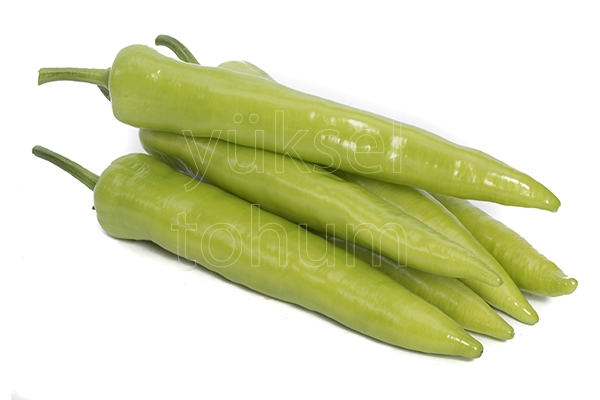 Seki F1 Biber Fidesi