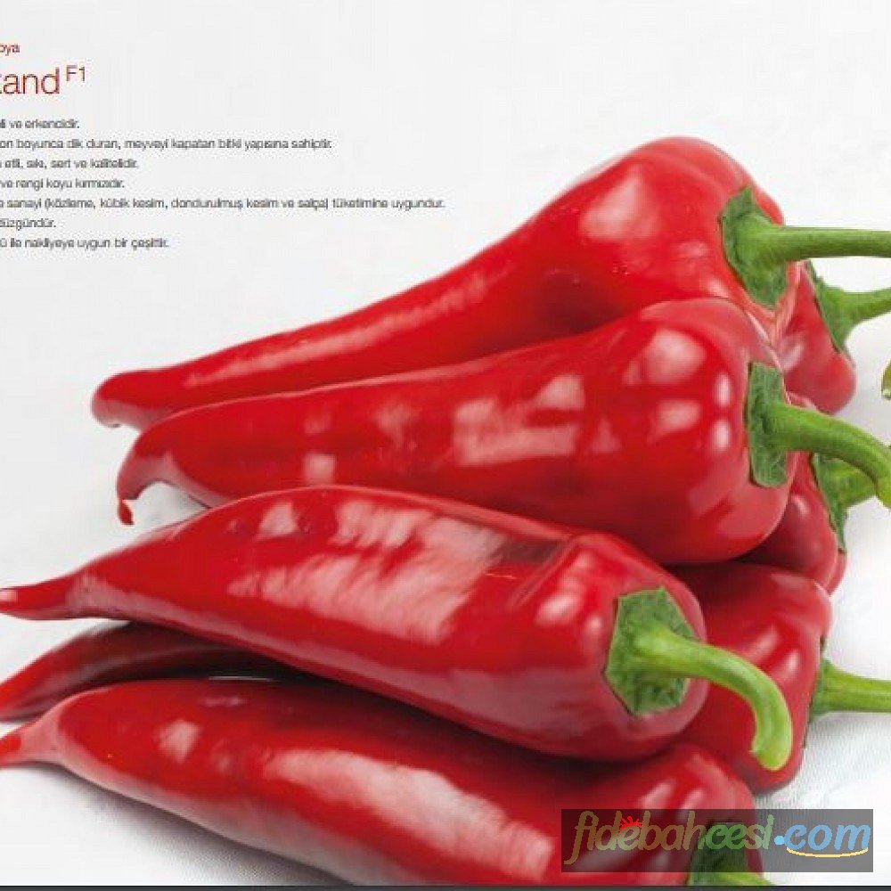 Semerkand F1 Kapya Biber Fidesi