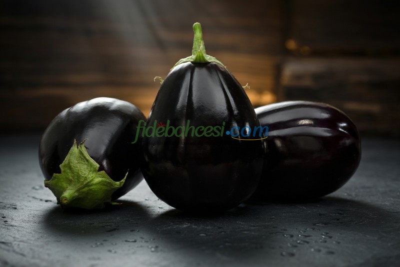 Vezir F1 Topak Patlıcan Fidesi